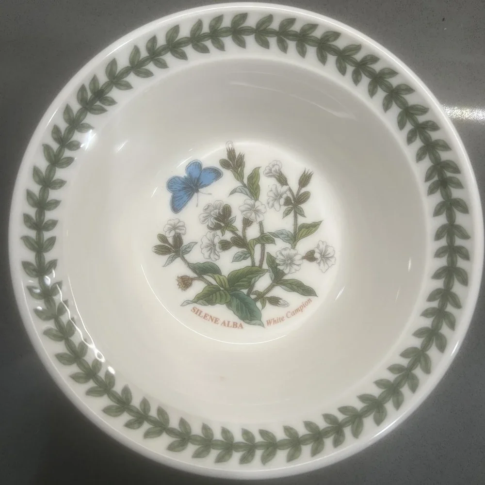 NEW- 5 Portmeirion Botanic Garden 6.5